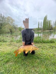 Mirror Carp