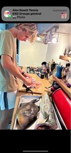 Dolphinfish