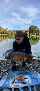 Mirror Carp