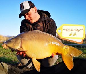 Mirror Carp