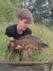 Common Carp