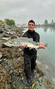 Pink Salmon
