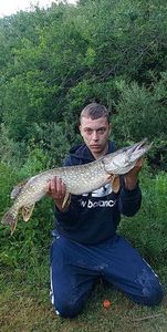 Northern Pike