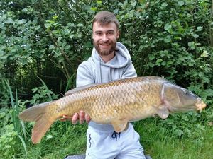 Common Carp