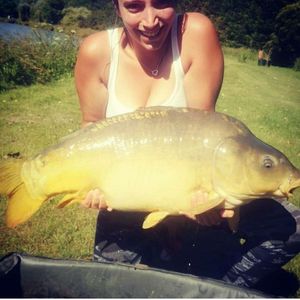 Mirror Carp