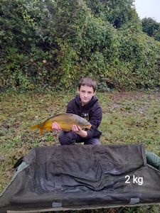 Mirror Carp
