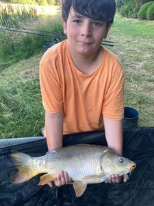Mirror Carp