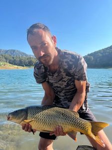Common Carp