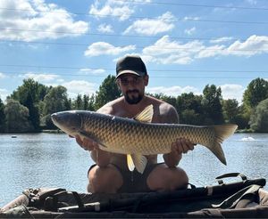 Grass Carp