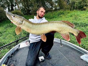Northern Pike