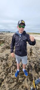 Giant Goby