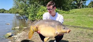 Mirror Carp