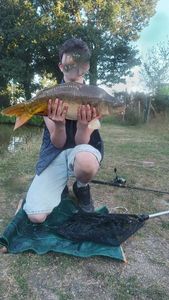 Mirror Carp