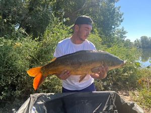 Mirror Carp