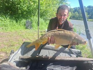 Mirror Carp