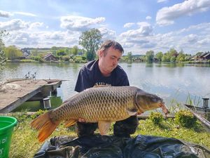Common Carp
