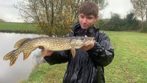 Northern Pike