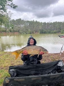 Leather Carp