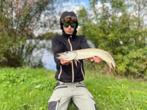 Northern Pike