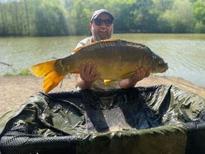 Mirror Carp