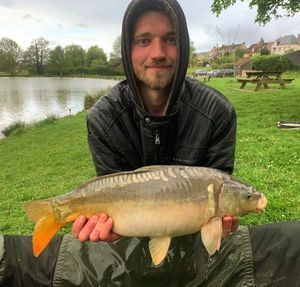 Mirror Carp