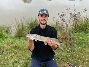 Northern Pike