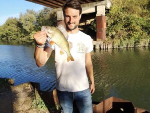 European Perch