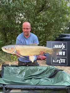 Grass Carp