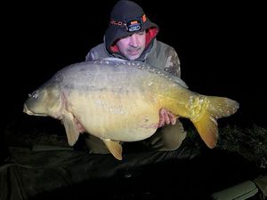 Mirror Carp