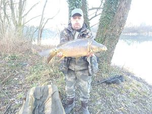 Mirror Carp