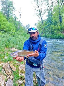 Grayling