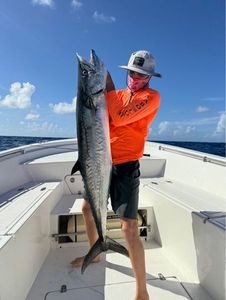 Spanish Mackerel