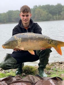 Mirror Carp