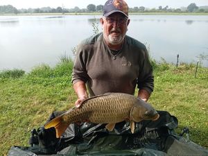 Common Carp
