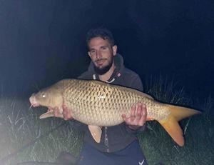 Common Carp