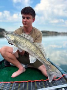 Zander
