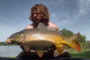 Mirror Carp