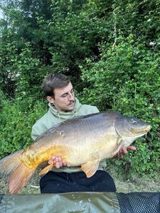 Mirror Carp