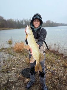 Northern Pike