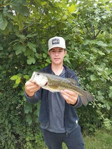 Smallmouth Bass