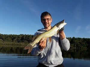 Northern Pike
