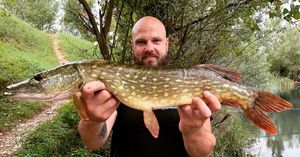 Northern Pike
