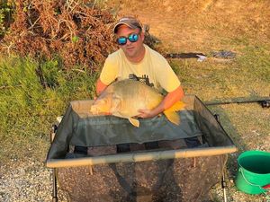 Mirror Carp