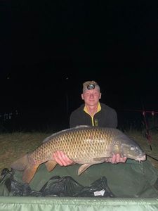 Common Carp
