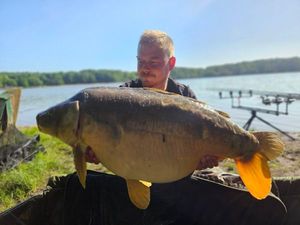 Mirror Carp