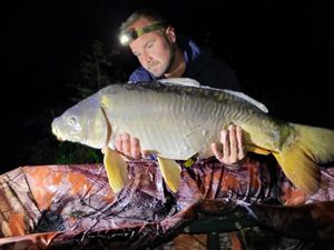 Mirror Carp