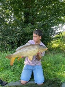 Common Carp
