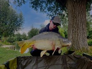Mirror Carp