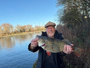 European Perch