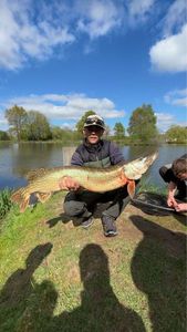 Northern Pike